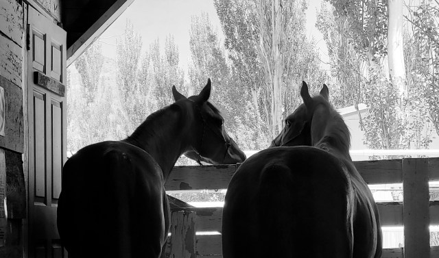 Where we’re at and where we’re going.