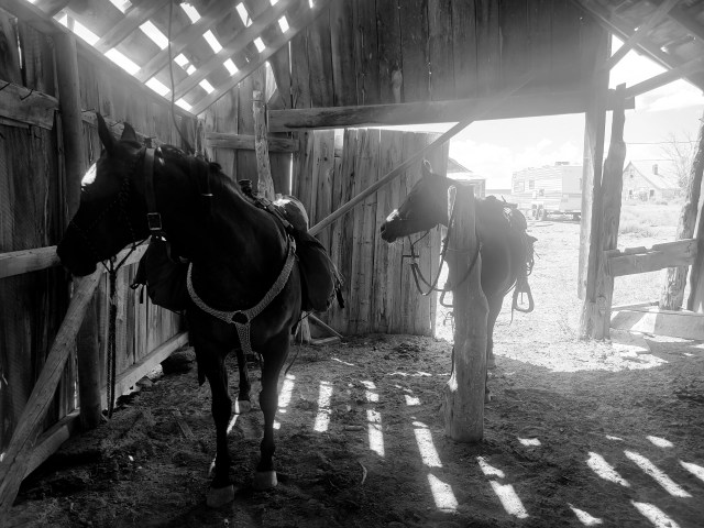 Heading to higher ground. 