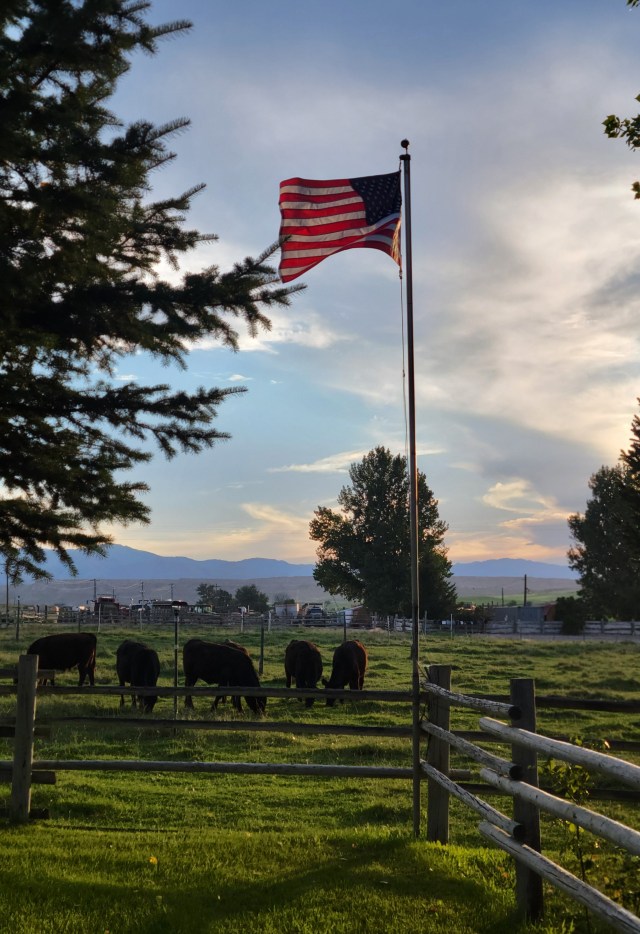 If you want to fall in love with this country again…