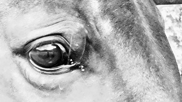 There is no happily ever after.